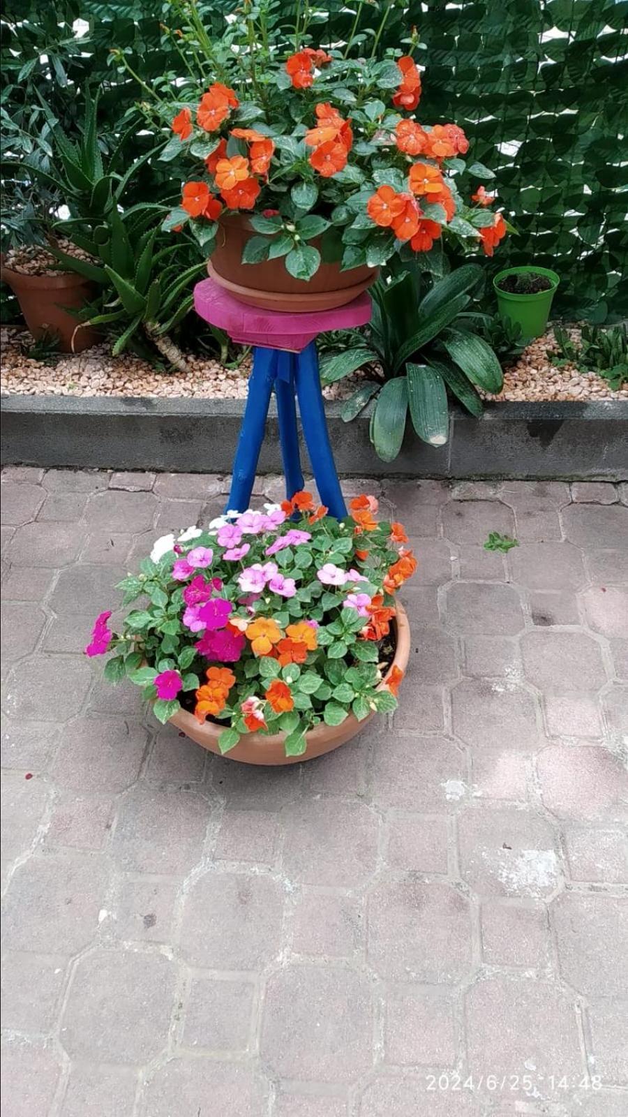 دْيانو مارينا B&B Home Sweet Home المظهر الخارجي الصورة