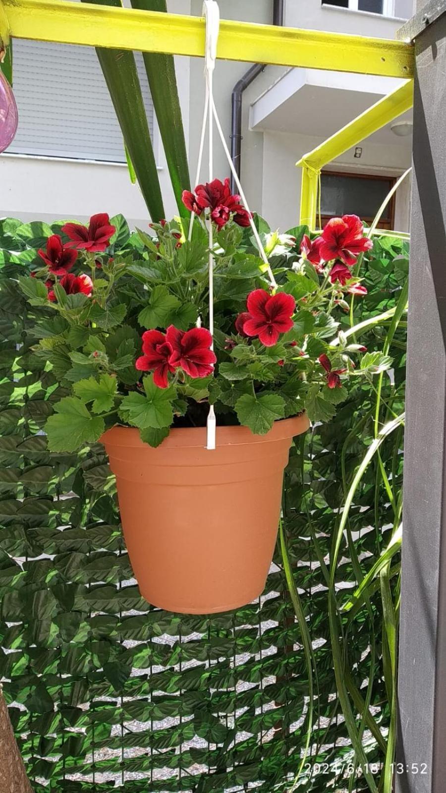 دْيانو مارينا B&B Home Sweet Home المظهر الخارجي الصورة